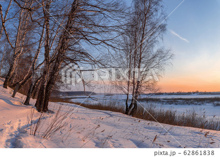 Birch trees on the edge of a snow-covered river 62861838