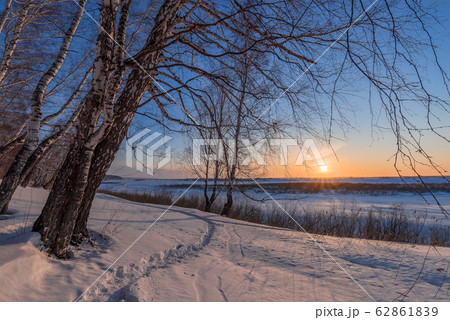 Birch trees on the edge of a snow-covered river 62861839