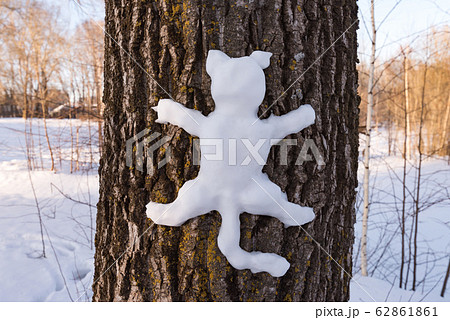 Snow cat silhouette on a tree trunk 62861861