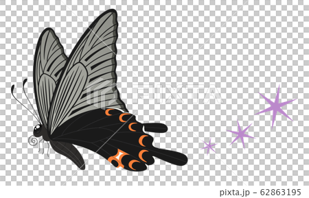 オナガアゲハのイラスト_クロアゲハ_飛ぶ 62863195