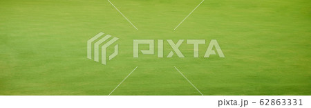 Texture of green sport field Texture of green sport field 62863331