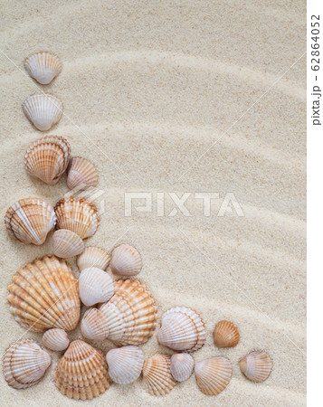 Composition of seashells on the sand Composition of seashells on the sand 62864052