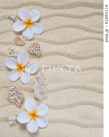 Tiare flowers and corals on the sand Tiare flowers and corals on the sand 62864118