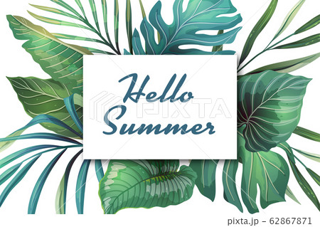 Tropical Summer Frame Tropical Summer Frame 62867871