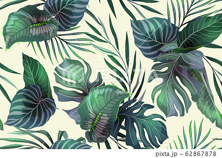 Seamless pattern with exotic leaves 62867878