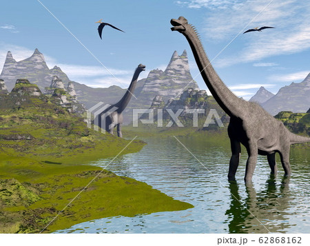 Brachiosaurus dinosaurs in water - 3D render Brachiosaurus dinosaurs in water - 3D render 62868162
