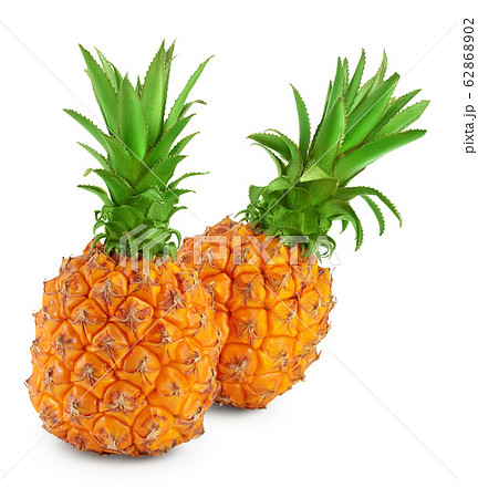 pineapple isolated on white background with clipping path and full depth of field pineapple isolated on white background with clipping path and full depth of field 62868902