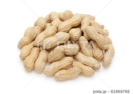 落花生 62869766