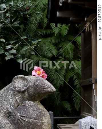 大豊神社 大豊神社 62870519