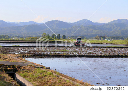 春の水田で代掻きをするトラクター 春の水田で代掻きをするトラクター 62870842