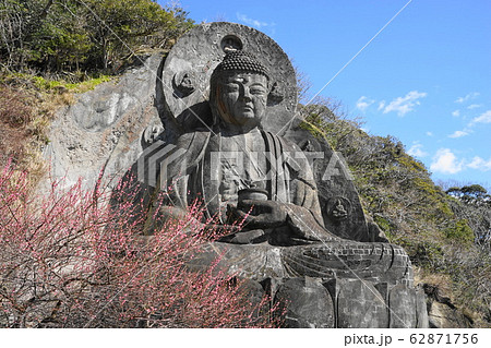 2月 鋸南町98日本寺大仏と紅梅・鋸山 2月 鋸南町98日本寺大仏と紅梅・鋸山 62871756