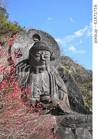 2月 鋸南町96日本寺大仏と紅梅・鋸山 2月 鋸南町96日本寺大仏と紅梅・鋸山 62871758