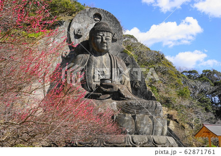 2月 鋸南町93日本寺大仏と紅梅・鋸山 2月 鋸南町93日本寺大仏と紅梅・鋸山 62871761