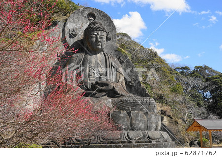 2月 鋸南町92日本寺大仏と紅梅・鋸山 2月 鋸南町92日本寺大仏と紅梅・鋸山 62871762