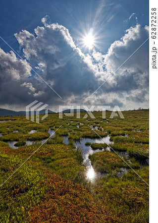傾いた陽と平ヶ岳・姫ノ池の池塘群 62872258