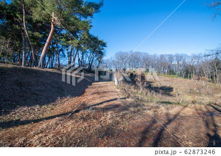 八丁湖 自然植物観察コース　埼玉県吉見町 62873246
