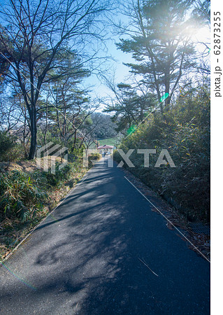 八丁湖 自然植物観察コース　埼玉県吉見町 62873255
