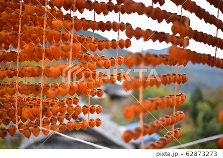 くしがきの里 62873273