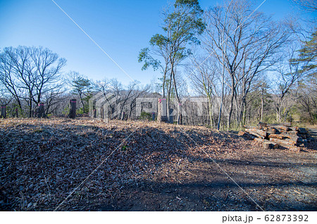 八丁湖 自然植物観察コース　埼玉県吉見町 62873392