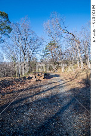 八丁湖 自然植物観察コース　埼玉県吉見町 62873394