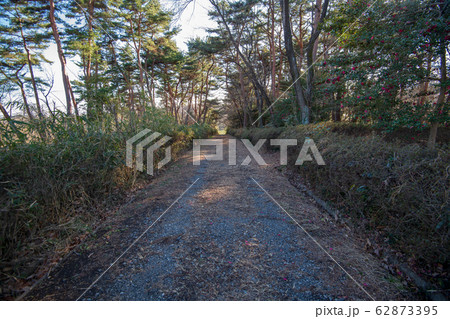 八丁湖 自然植物観察コース　埼玉県吉見町 62873395