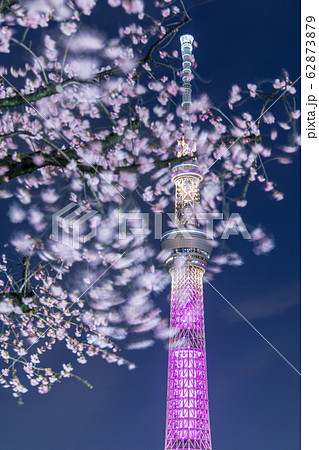 都市風景 夜景 夜桜と東京スカイツリー 都市風景 夜景 夜桜と東京スカイツリー 62873879