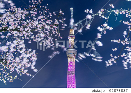 都市風景 夜景 夜桜と東京スカイツリー 都市風景 夜景 夜桜と東京スカイツリー 62873887