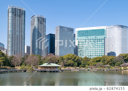 東京都 浜離宮恩賜庭園 大泉水とビル群 東京都 浜離宮恩賜庭園 大泉水とビル群 62874155