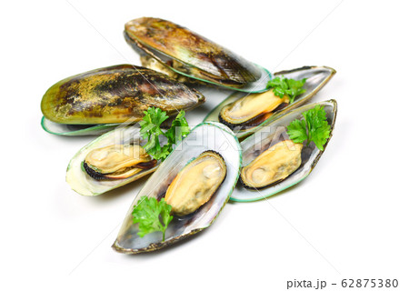 Mussels isolated on white background - Green 62875380
