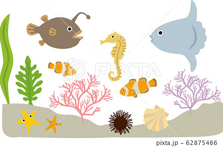 海の生物 62875466
