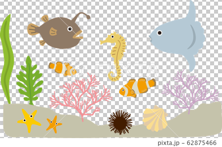 海の生物 62875466