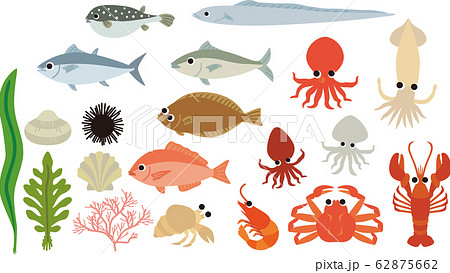 魚介類 62875662