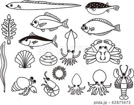 Free Fish Line Drawings, Download Free Fish Line Drawings png images, Free  ClipArts on Clipart Library
