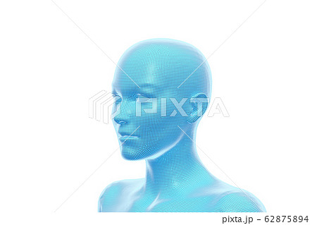 女性の体 頭部 3dのイラスト素材