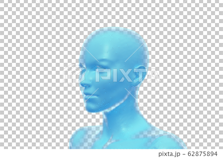女性の体, 頭部, 3D 62875894