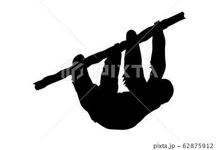 動物シルエット動物園ナマケモノ2 62875912