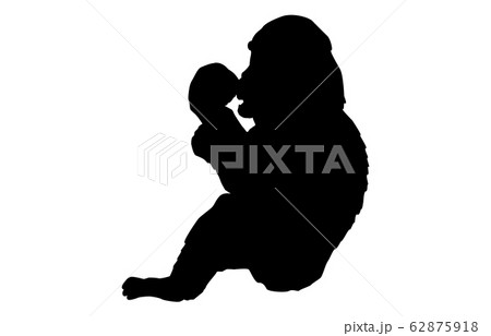 動物シルエット動物園チンパンジー7 62875918