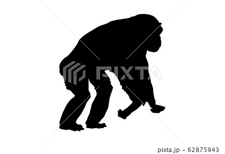 動物シルエット動物園チンパンジー1 62875943