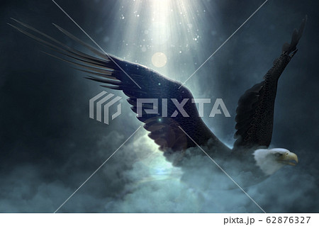 Bald eagle flying over the clouds 3d illustration 62876327