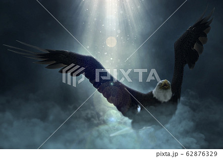 Bald Eagle Flying Over The Clouds 3d Illustrationのイラスト素材