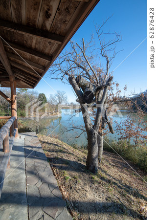 八丁湖 埼玉県吉見町 八丁湖 埼玉県吉見町 62876428