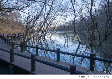 八丁湖 ウッドデッキ 埼玉県吉見町 八丁湖 ウッドデッキ 埼玉県吉見町 62877129