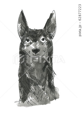 モノクロー黒い犬正面のイラスト素材