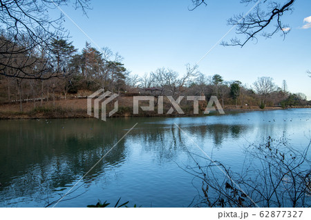 八丁湖 埼玉県吉見町 八丁湖 埼玉県吉見町 62877327