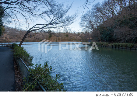 八丁湖　埼玉県吉見町 62877330
