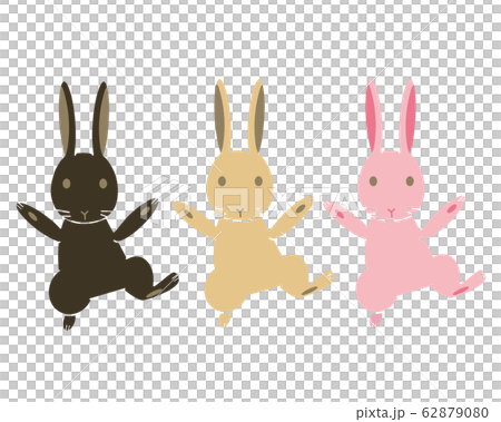 ウサギのイラスト　3色 62879080