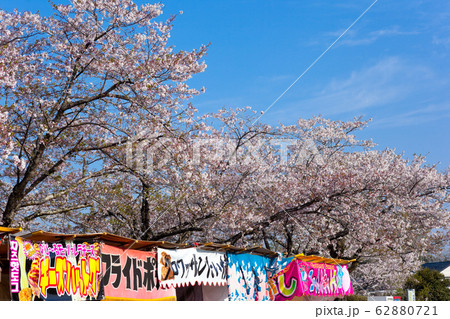 母智丘神社の桜祭り 62880721