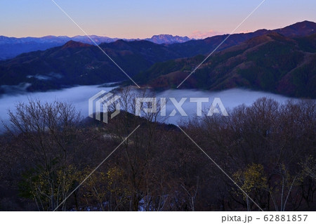 宝登山ロウバイ園の冬桜に谷間を覆う雲海と両神山遠望 62881857