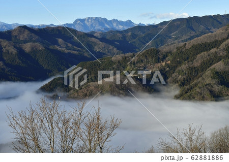 宝登山ロウバイ園の冬桜に谷間を覆う雲海と両神山遠望 62881886
