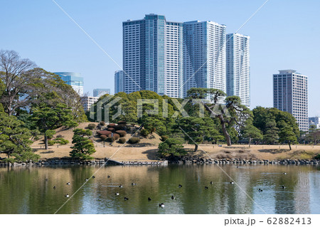 東京都　浜離宮恩賜庭園　大泉水　御亭山 62882413